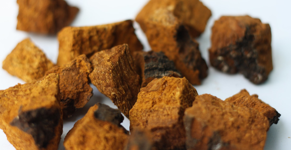 The Best Chaga Mushroom Supplement
