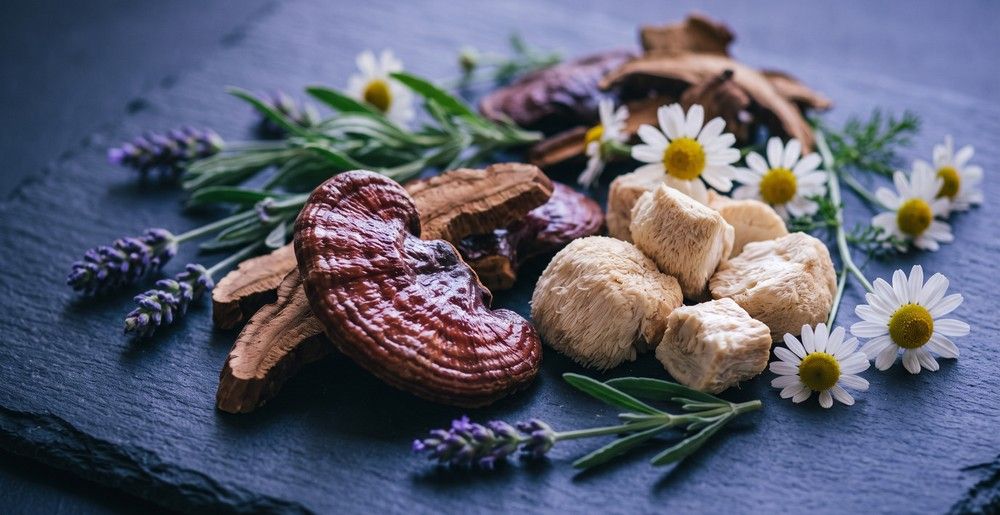 Best Mushroom Supplements for Better Sleep UK