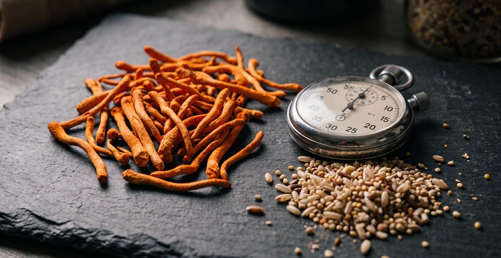Cordyceps Militaris UK: Why It's Restricted and Where to Buy