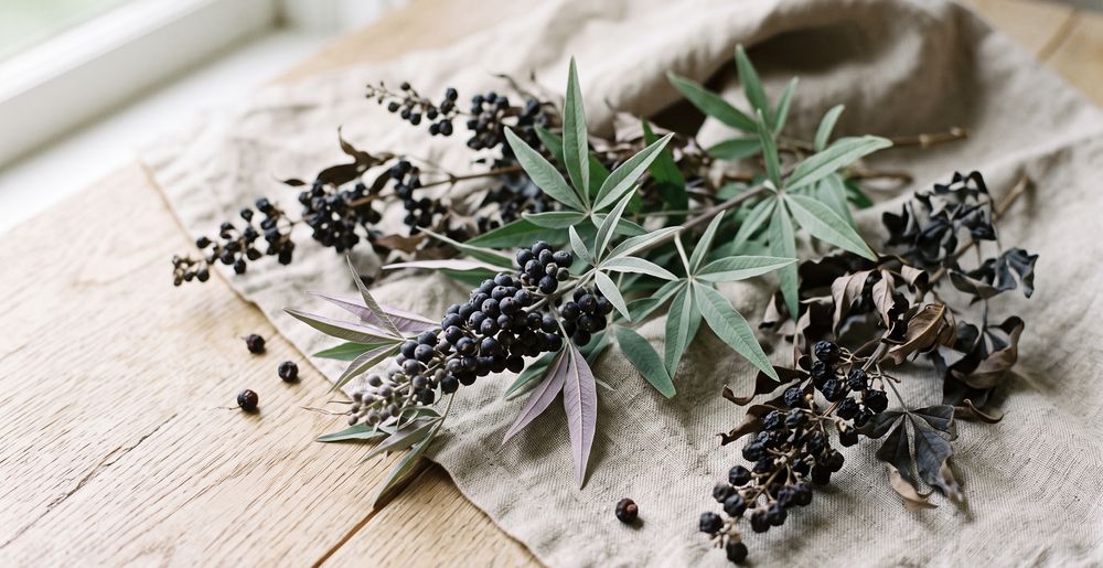 Best Vitex (Chasteberry) Supplement UK for PMS & PMDD