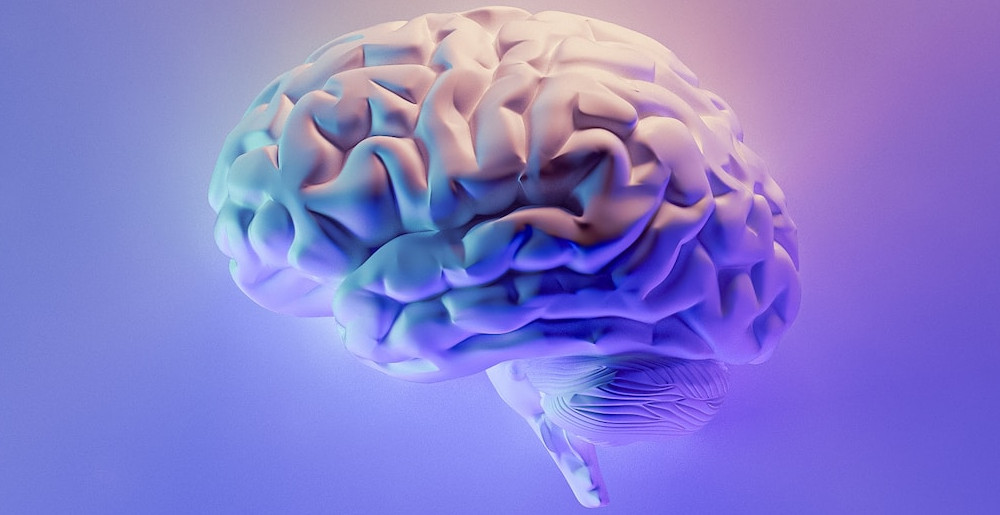 Nootropic Mushrooms for Brain Health