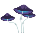 Supermushrooms